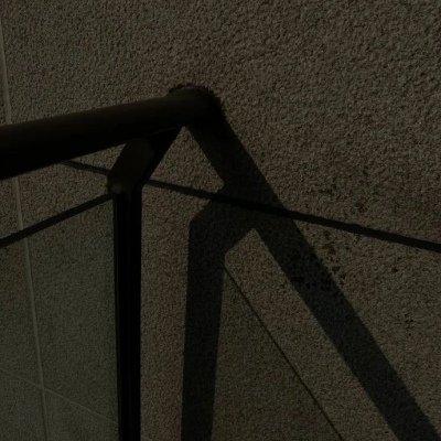 兽设幻想物种设计兽圈群